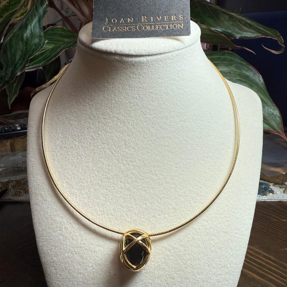 Joan Rivers Classics Collection Interchangeable Colors Omega Necklace